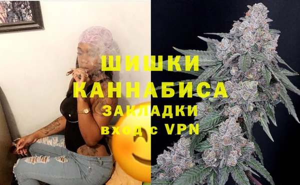 марки nbome Вяземский