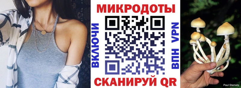 Купить закладки  Фрязино  Галлюциногенные грибы мицелий 